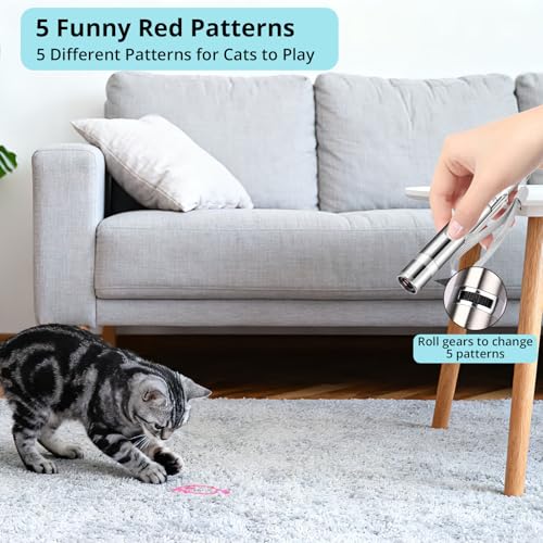 Cat Toy 2 Pieces