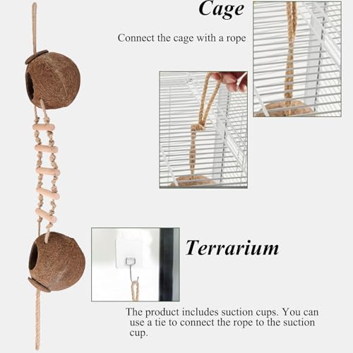 Gecko Tank Accessories