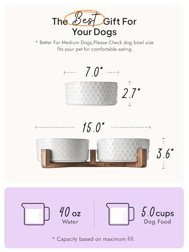 Ceramic Dog Bowls with Acacia Wood Stand (Fireworks+Clover / L-5 Cup)