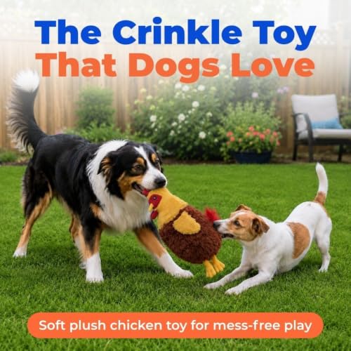 Interactive Squeaky Dog Toy (Crinkle Chicken (Wine Red) / Large)