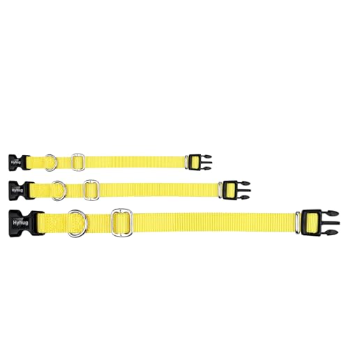 Yellow Dog Collar for Large Dogs (Large / Luminous Yellow)