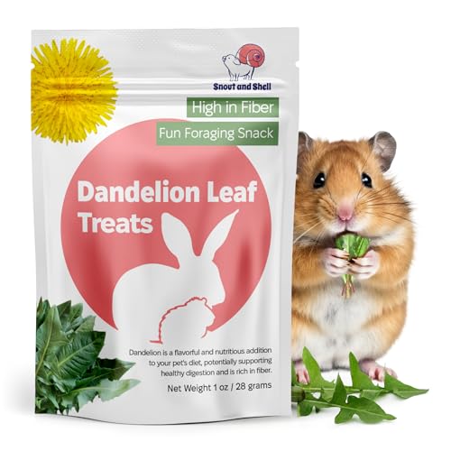 Dandelion Leaf Treat for Small Pets