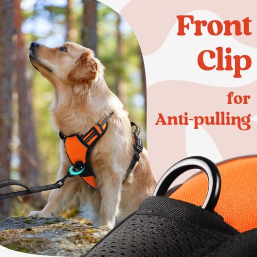 Dog Harness for Large (X-large / Orange)
