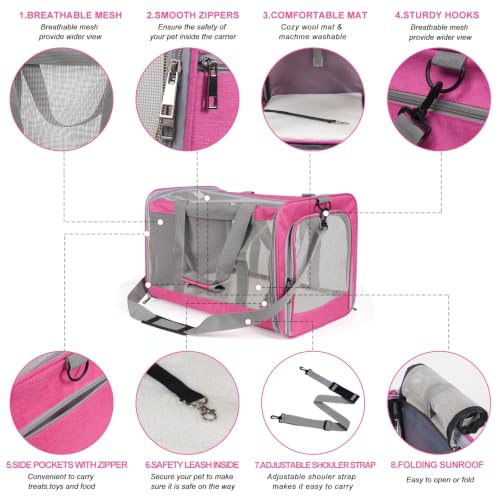 Pet Carrier for Large Cats of 20 Lbs (Pink)