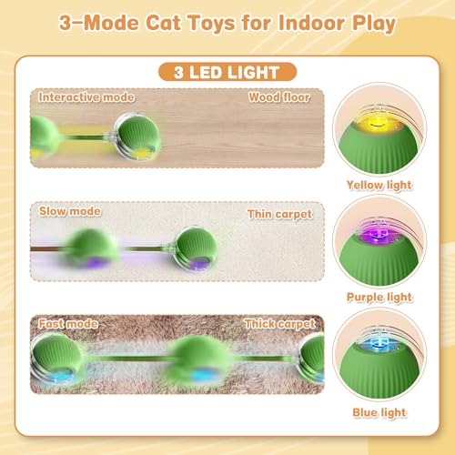 Interactive Cat Toys for Indoor Cats (Green)