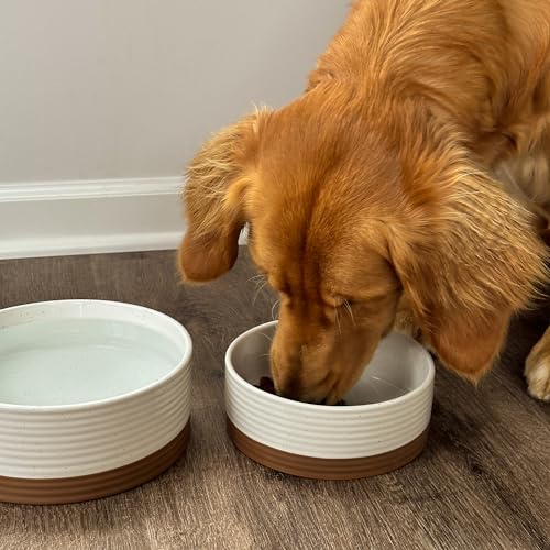 Ceramic Pet Bowl Size Medium (Medium / Vanilla White)