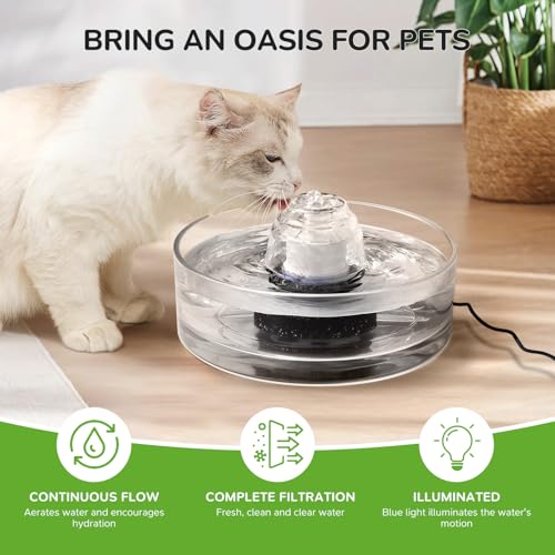 Transparent Glass Cat Water Fountain Cover