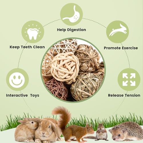 Bunny Chew Grass Balls (16 Pack)