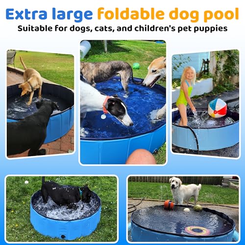 Foldable Dog Pool (32" / Blue)