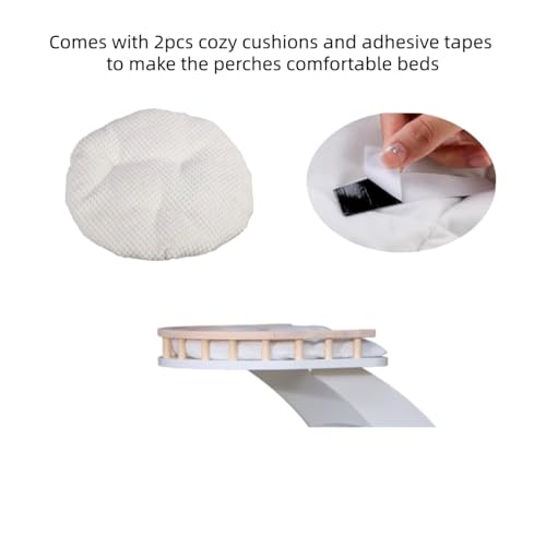 Modern Wooden Cat Tree Tower for Window Viewing Watching (White B)