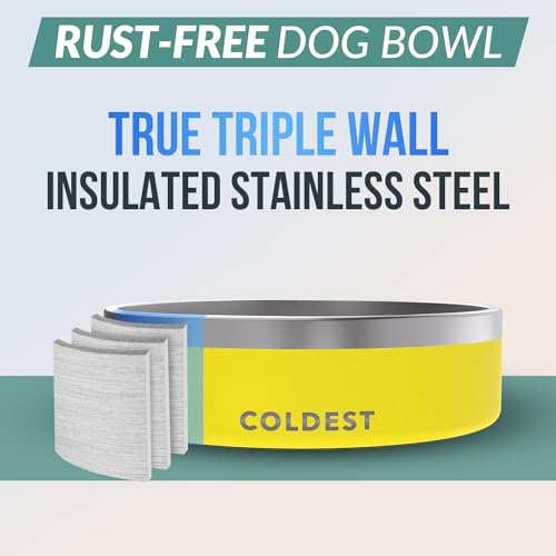 Coldest Dog Bowl (42 oz / Solar Yellow)