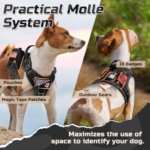 Tactical Dog Harness for Medium (Black / Medium)