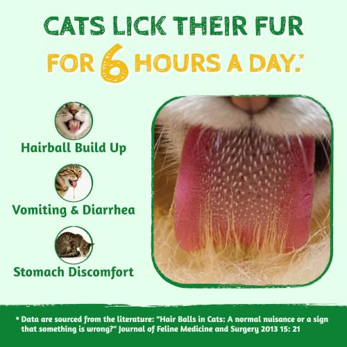Cat Grass Treats for Indoor Cats Hairball Control 13.4 OZ (13.4 Ounce (Pack of 1))