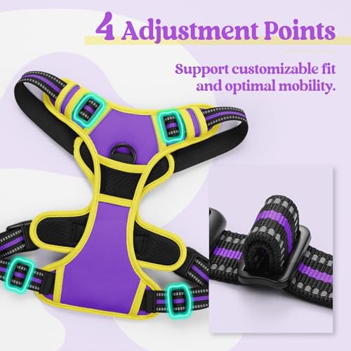 Dog Harness No Pull Medium Sized with 2 Leash Clips