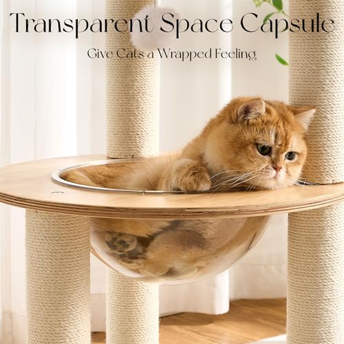 Modern Solid Wood Cat Tree Tower (49 Inch-Scratch Ball)