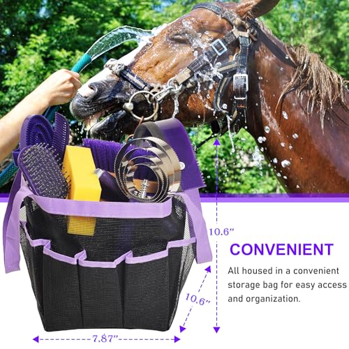 Horse Grooming Kit
