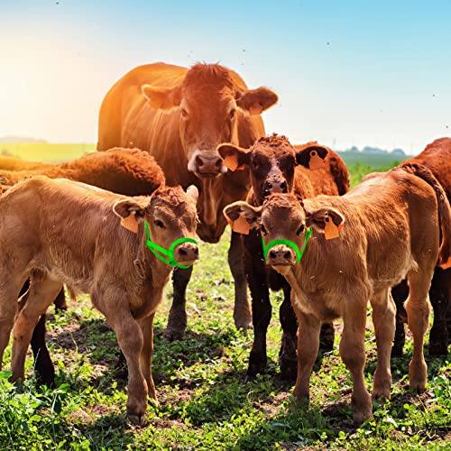 Cow Halter Adjustable with Leading Rope (Medium / Green)