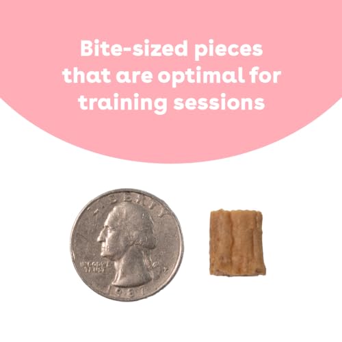 Soft & Chewy Training Treats for Dogs & Puppies (5 Ounce (Pack of 1))