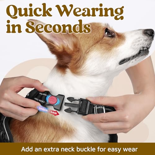 Dog Harness Small Sized (Black / Small)