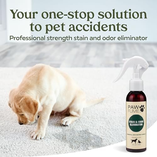 PAWFUME Stain & Pet Urine Odor Eliminator (4 Fl Oz (Pack of 1))