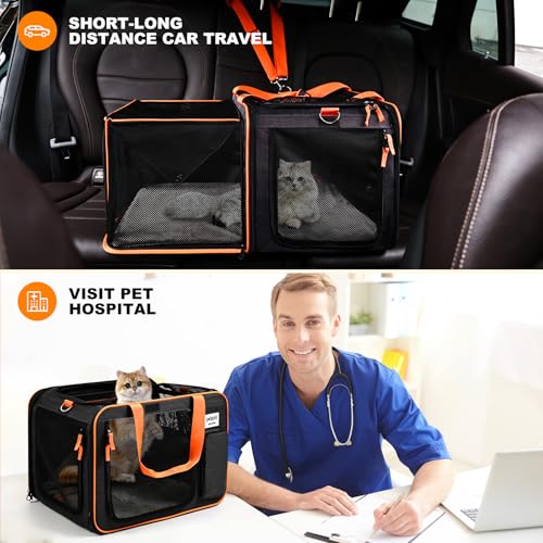 20x14x14 Expandable Large car Carrier for 1 Large (black)