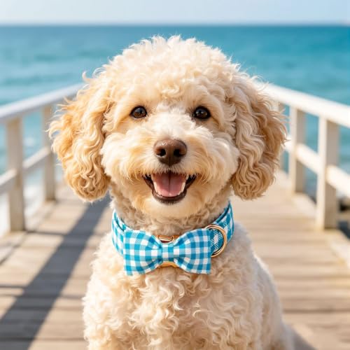 Dog Collar Boy Blue Gingham Plaid Dog Collar with Bow (Blue Gingham Plaid / Large (Pack of 1))