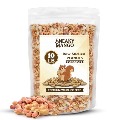 Raw Out of Shell Peanuts (10 Pound (Pack of 1))