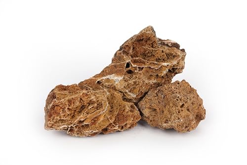 Maple Leaves Stone 18lb Natural Aquarium Rocks for Fish Tank Decor (14 Maple Leaves Stone(3-9 inches,18lbs))