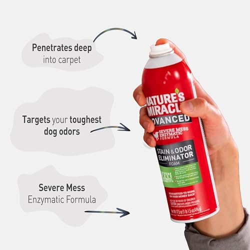 Advanced Dog Stain & Odor Eliminator Foam (Foam / 17.5 Ounce (Pack of 6))