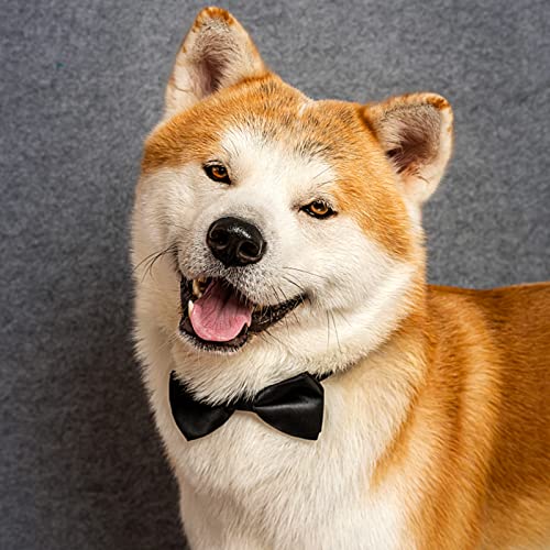 Dog Collar Bowties (Small)