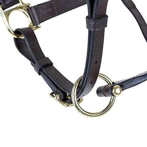 Premier Lancaster Fixed Throat Leather Halter for Horses (Full Size / Havana)