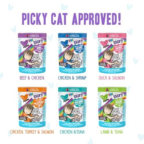 B.F.F. OMG Best Feline Friend Oh My Gravy! (2.8 Ounce (Pack of 12))