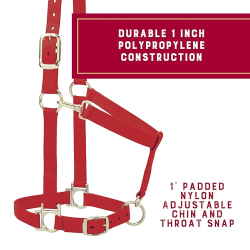 Nylon Horse Halter (Red / 1" Average Horse)