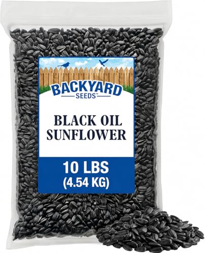 Black Oil Sunflower Seeds 10 lb (Black Oil Sunflower / 10 Pound (Pack of 1))