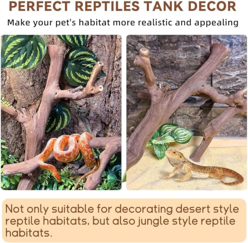 2PCS Reptile Wood Branches Decor (2Pcs 9.8in Grapewood Branches)