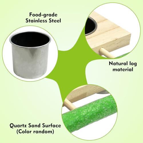 Bird Feeding Dish Cups with Wooden Platform (Medium)