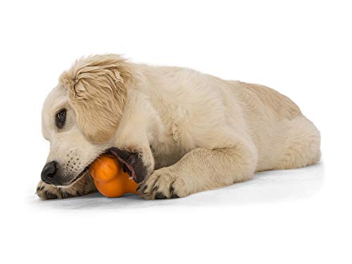 Zogoflex Tux Interactive Treat Dispensing Dog Chew Toy for Aggressive Chewers (Tangerine / Small)