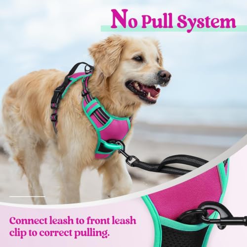 Dog Harness No Pull for Large Dogs with 2 Leash Clips (X-Large / Hot Pink & Turquoise)