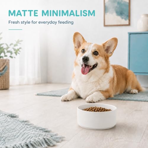 Ceramic Dog Bowls (Matte White)