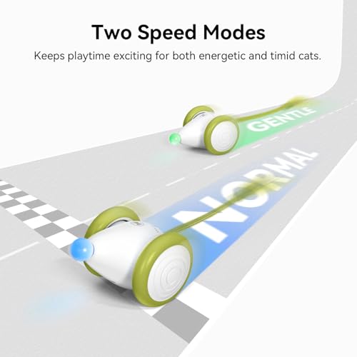 Interactive Cat Toys for Indoor Cats (Mouse Neo-Green)