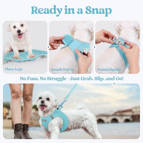Dog Harness Small Sized and Leash Set (Mint Blue / Xxxs (chest: 10.8 - 11.8"))
