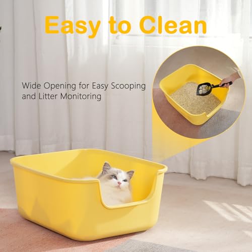 Large Cat Litter Box with High Sides (Green)