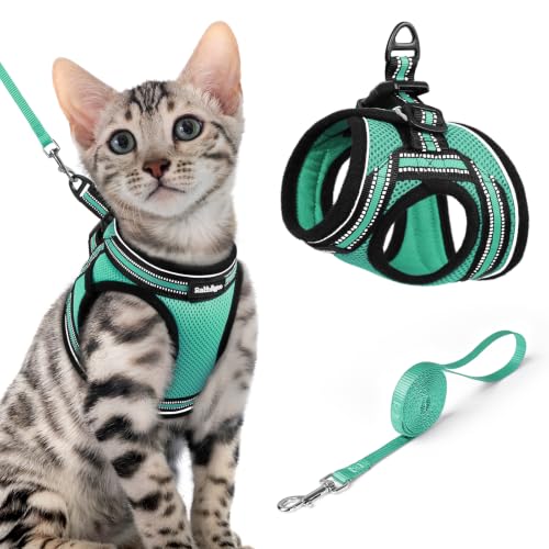 Cat Harness and Leash Set (XL / Green)