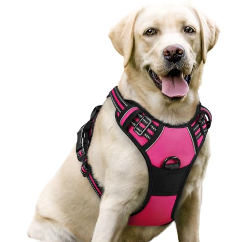 Dog Harness No Pull for Large Dogs with 2 Leash Clips (Large / Hot Pink)