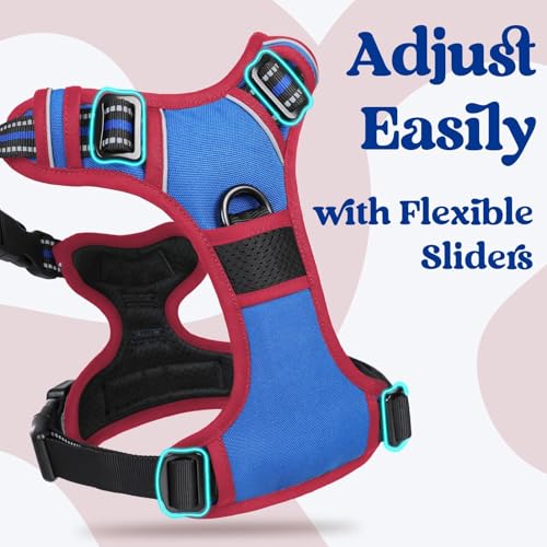 Dog Harness Small Sized (Blue & Red / Small)
