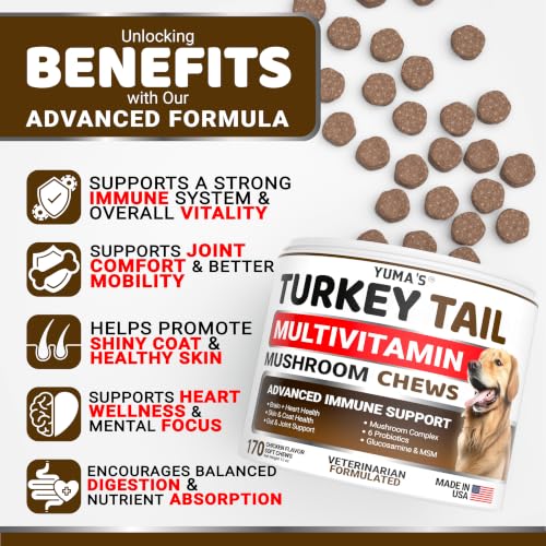 Turkey Tail Mushroom for Dogs (Multivitamin Mushroom Complex / 170 Chews)