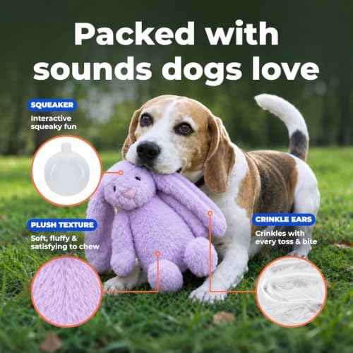 Bunny Buddy Squeaky Plush Dog Toy (Bunny (Purple) / Small)
