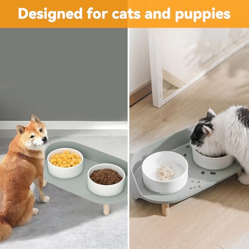 Elevated Dog Bowls Set (Gray)