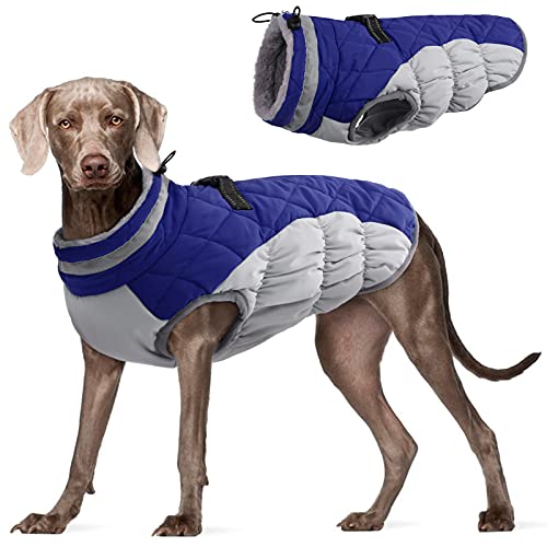 Dog Coat for Large Dogs (Blue / XXL(chest:35in))