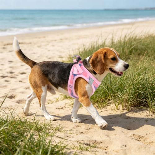 Dog Harness Collar and Leash Set No Pull for Small Medium Sized (Pink / XL (CHEST 20"-22"))
